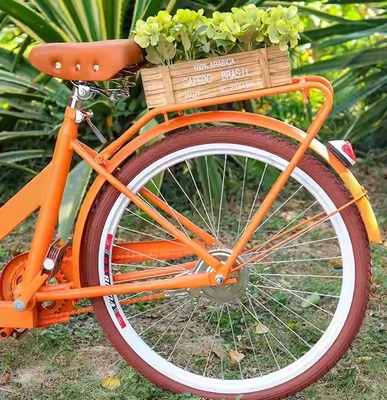 Αυστραλία Scooter τροφικό καρότσι τρίκυκλο με υλικό σόγιας και συμπαγές μέγεθος