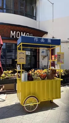 Ατσάλι ατσάλινη μόνωση θραυστημένο γυαλί εξωτερικό δρόμο πωλήσεις 3 τροχών ποδήλατο καφέ