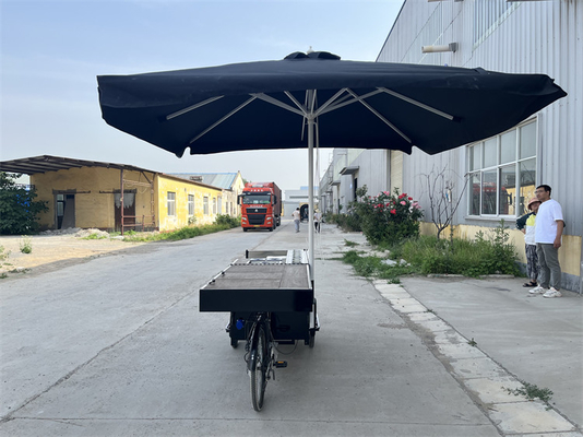 220V/110V Τρεις τροχοφόρο καρότσι OEM Καφέ Διπλώσιμο Δρόμος Τρικυκλώματα βάφλες crepe Cargo Bike