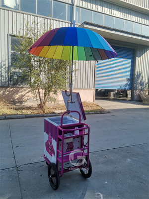 Παγωτό push Cart για κινητή επιχείρηση τροφίμων με 80L ψυγείο